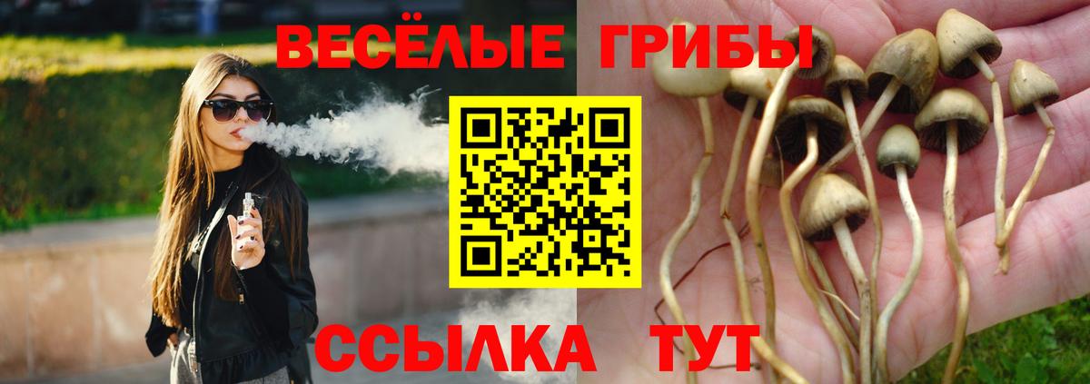 Псилоцибиновые грибы Psilocybe  Вход с VPN  Протвино 